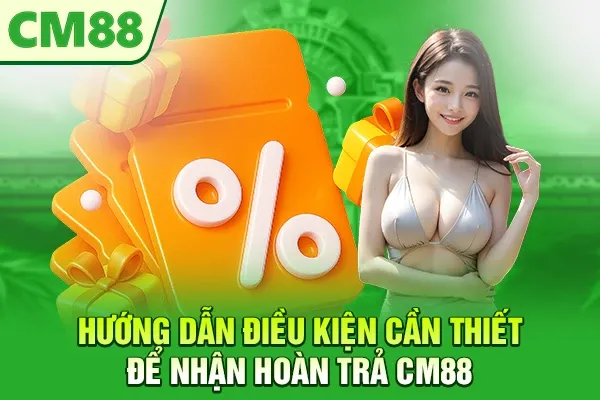 Hướng dẫn điều kiện cần thiết để nhận hoàn trả CM88
